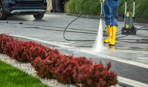 Best Driveway Pressure Washing  in Rome, NY